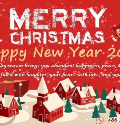 Merry Christmas & Happy New Year 2026 - Regards from TOPLUS®